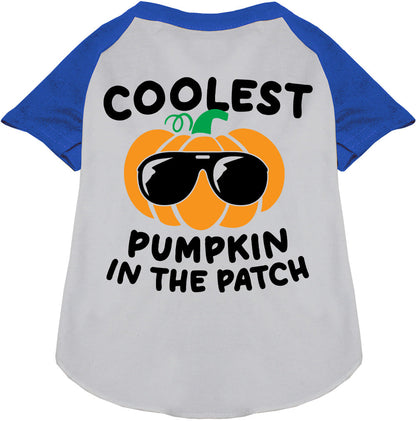 Blue Coolest Pumpkin Pet Raglan Shirt