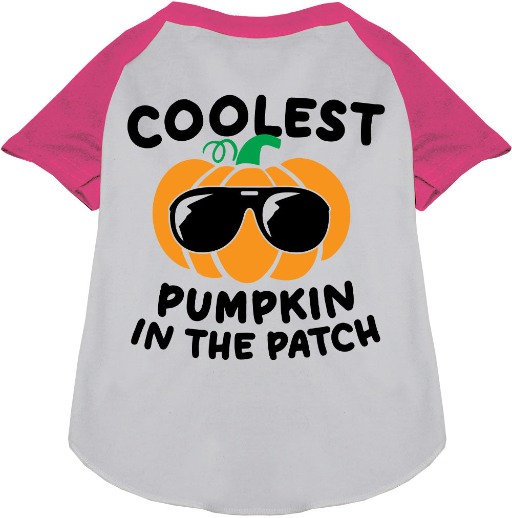 Pink Coolest Pumpkin Pet Raglan Shirt