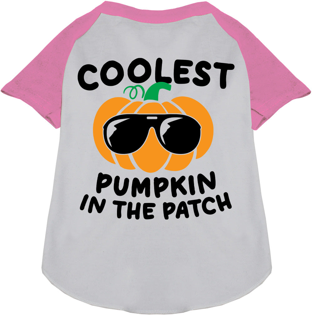 Light Pink Coolest Pumpkin Pet Raglan Shirt