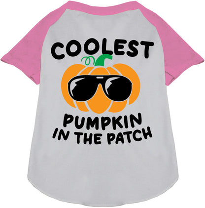 Light Pink Coolest Pumpkin Pet Raglan Shirt