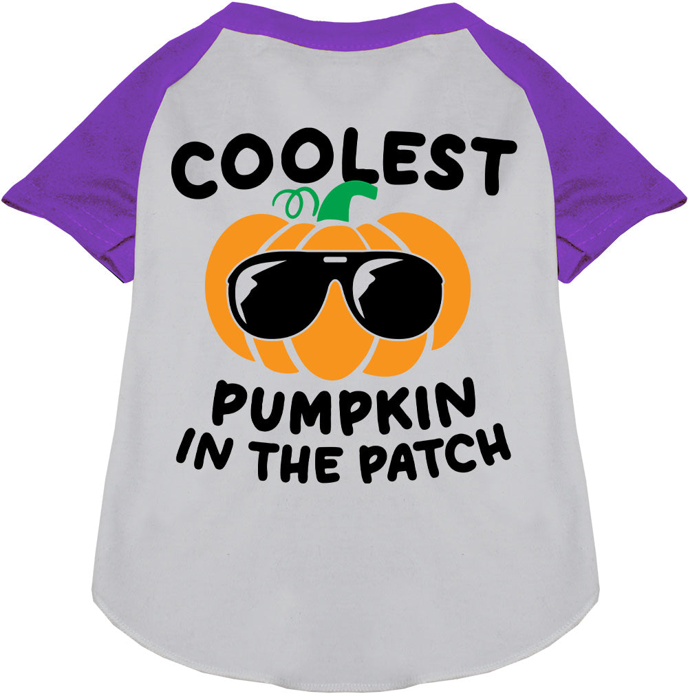 Purple Coolest Pumpkin Pet Raglan Shirt
