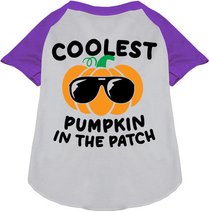 Purple Coolest Pumpkin Pet Raglan Shirt