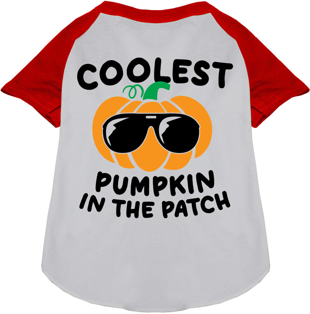 Red Coolest Pumpkin Pet Raglan Shirt