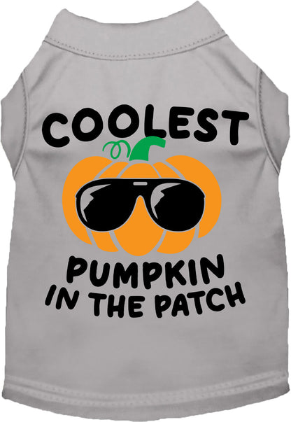 Gray pumpkin pet shirt with sunglasses design
