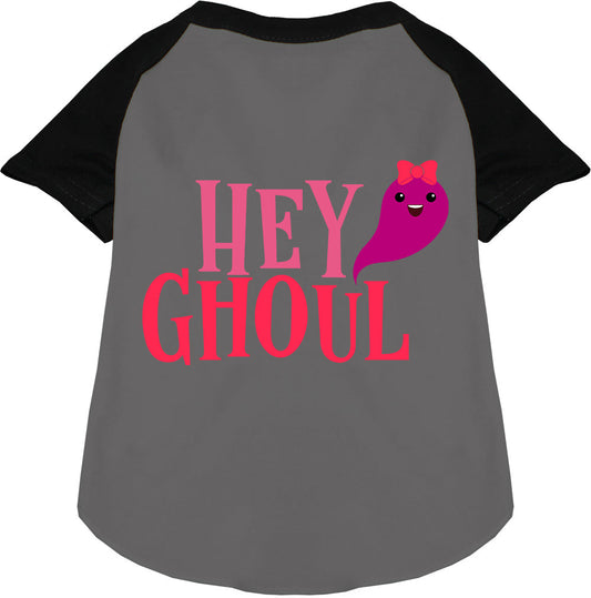 Gray Hey Ghoul Pet Raglan Shirt with black sleeves