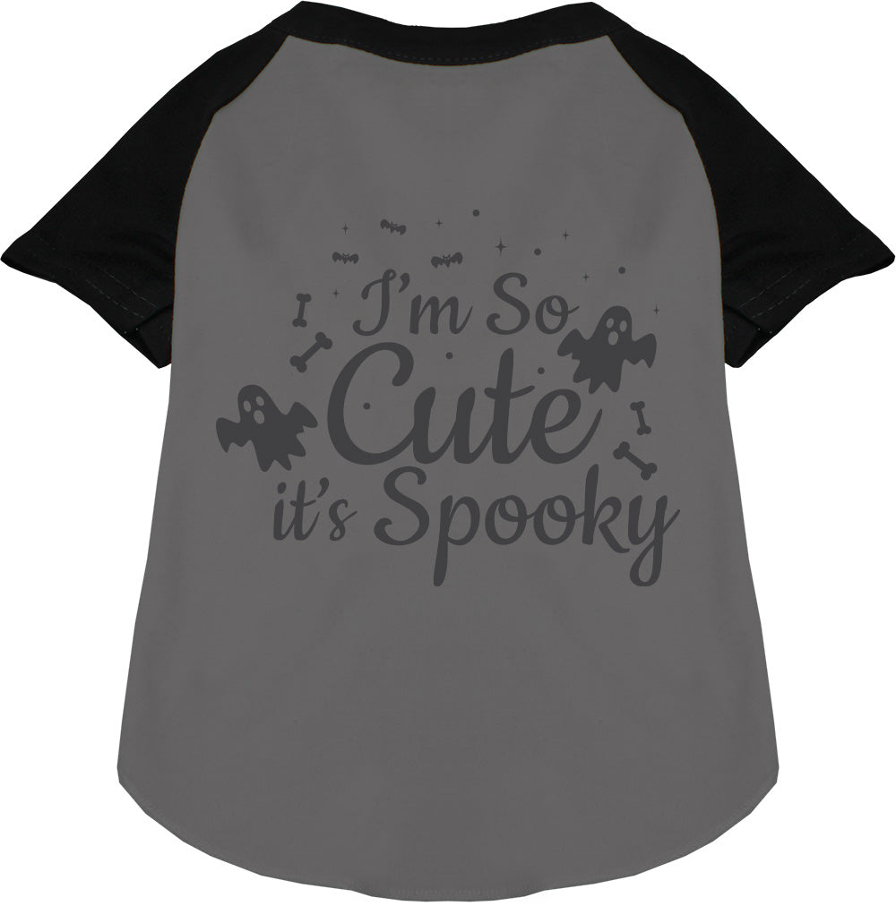 Black sleeve spooky pet raglan shirt