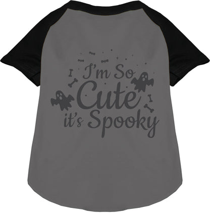 Black sleeve spooky pet raglan shirt