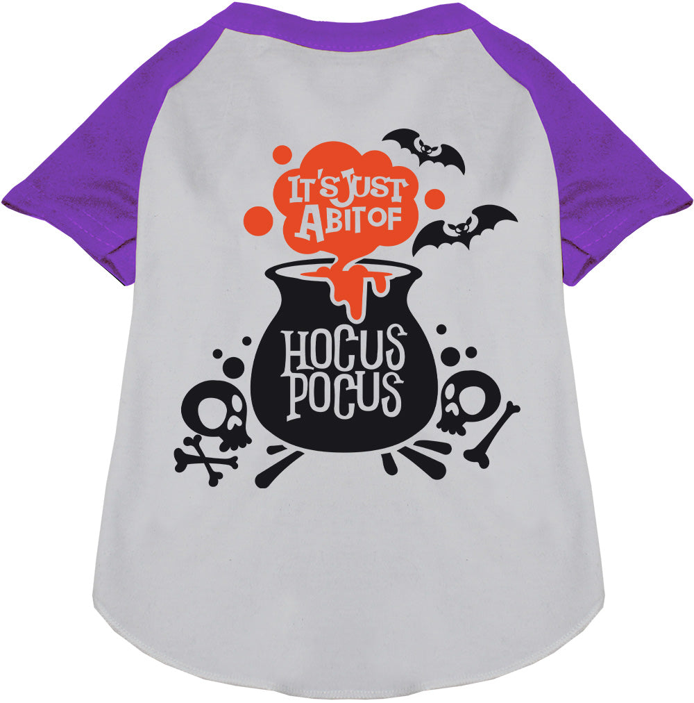 Purple-sleeved Hocus Pocus pet raglan shirt with cauldron design