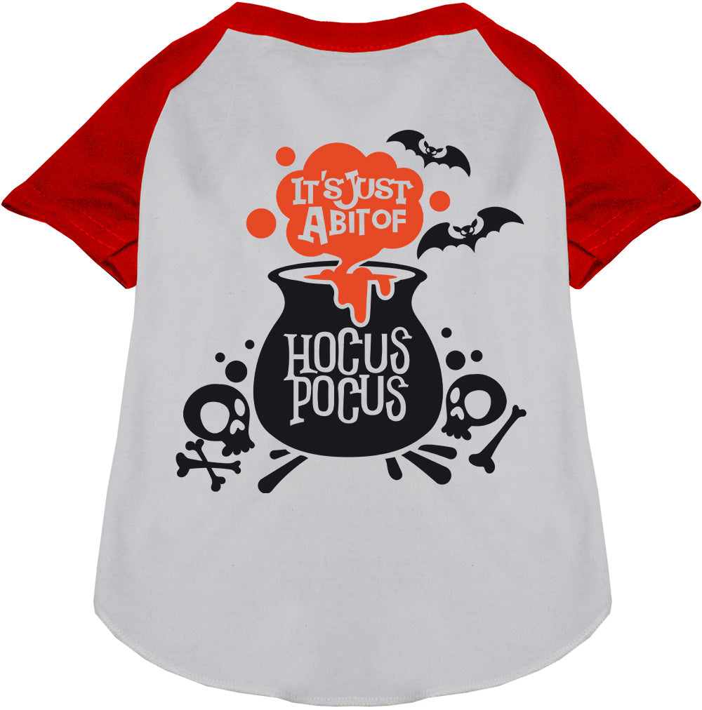 Red-sleeved Hocus Pocus pet raglan shirt with cauldron design