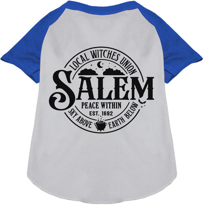 Blue Salem Witches Union pet raglan shirt