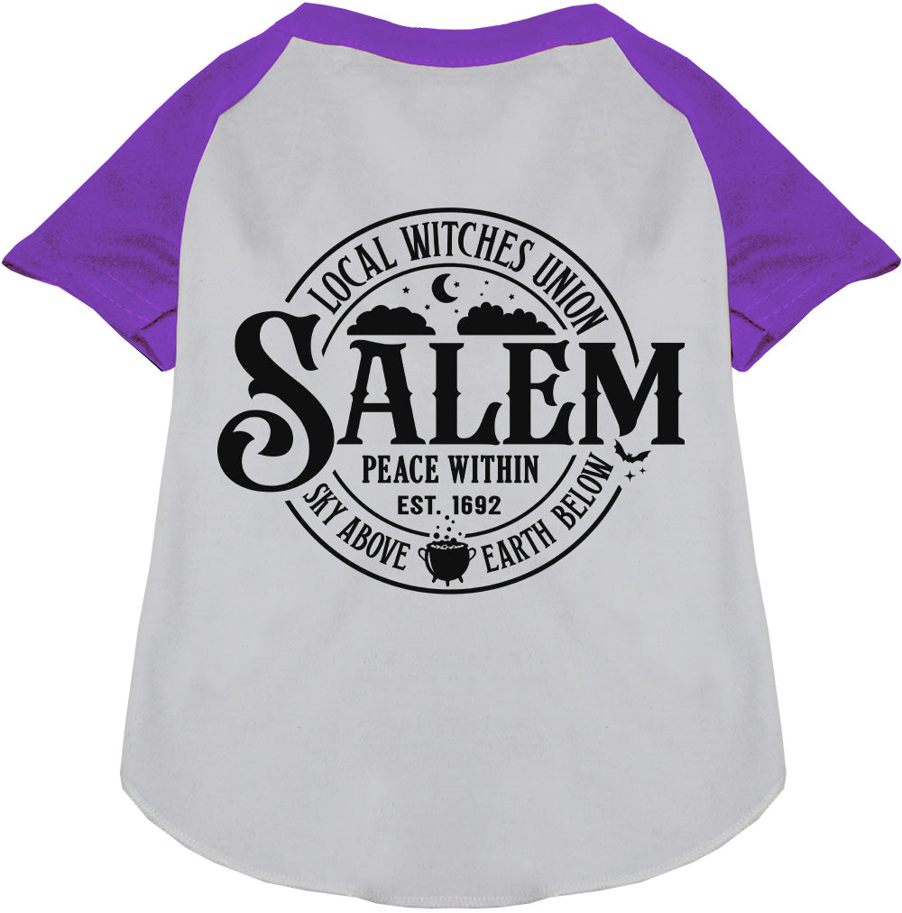 Purple Salem Witches Union pet raglan shirt