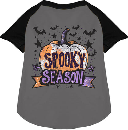 Gray and black spooky season pet raglan shirt with pumpkin design
