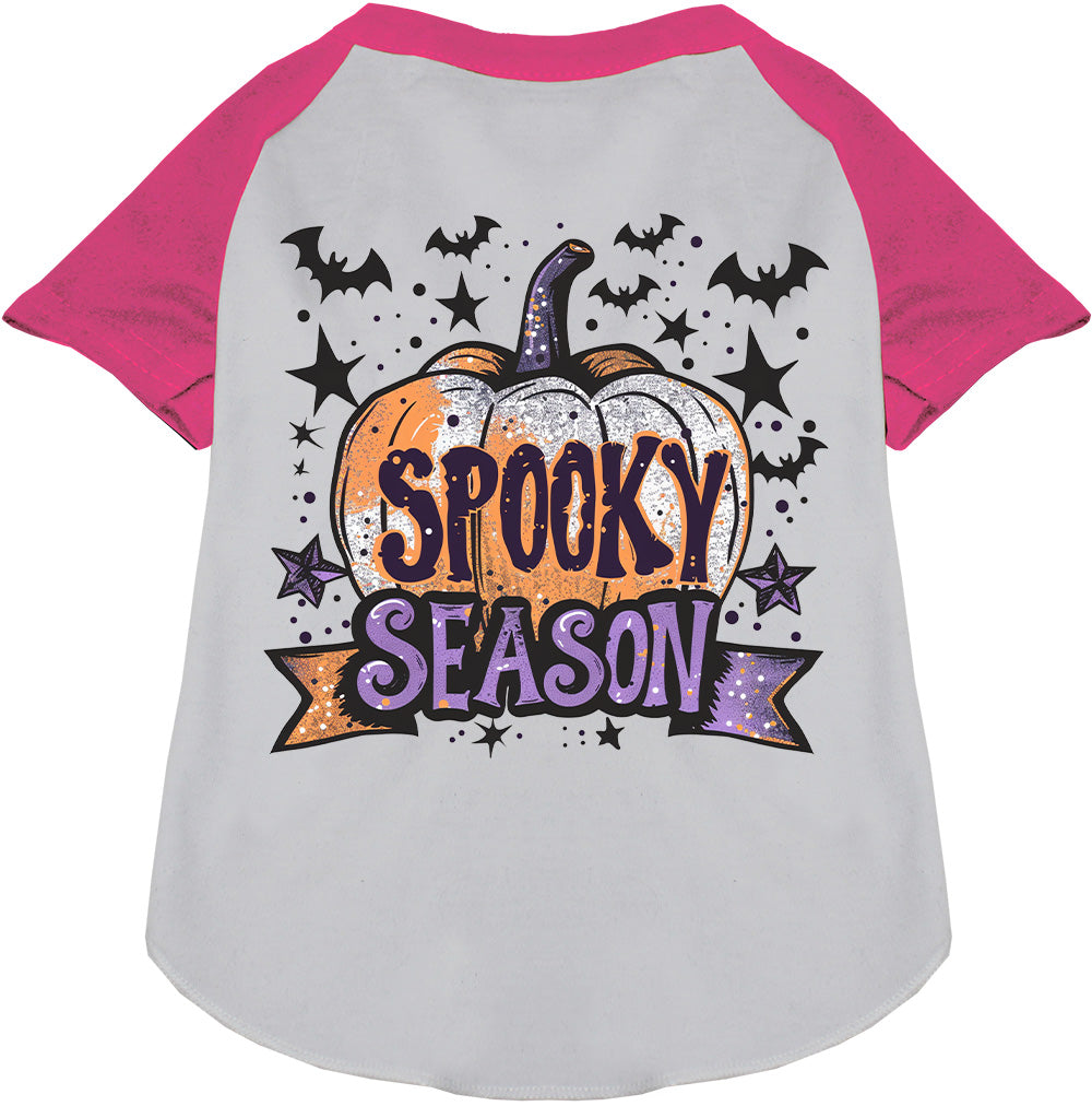 Gray and pink spooky season pet raglan shirt with pumpkin design