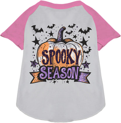 Gray and light pink spooky season pet raglan shirt with pumpkin design