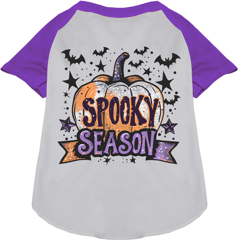 Gray and purple spooky season pet raglan shirt with pumpkin design