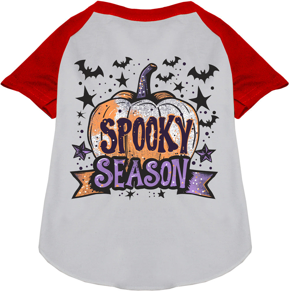 Gray and red spooky season pet raglan shirt with pumpkin design