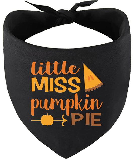 Miss Pumpkin Pie Pet Bandana