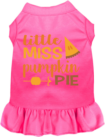 Pink Little Miss Pumpkin Pie pet dress with orange text