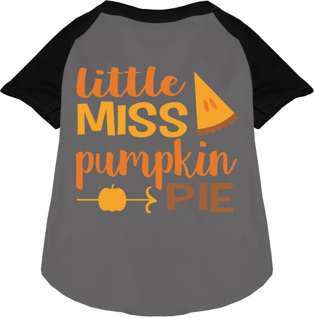 Black Little Miss Pumpkin Pie pet raglan shirt