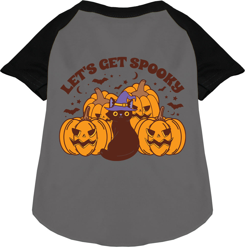 Gray spooky pet raglan shirt with pumpkins and cat