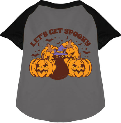 Gray spooky pet raglan shirt with pumpkins and cat