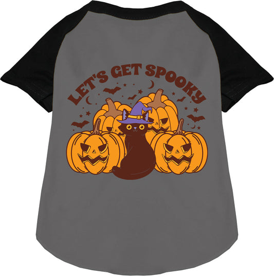 Gray spooky pet raglan shirt with pumpkins and cat