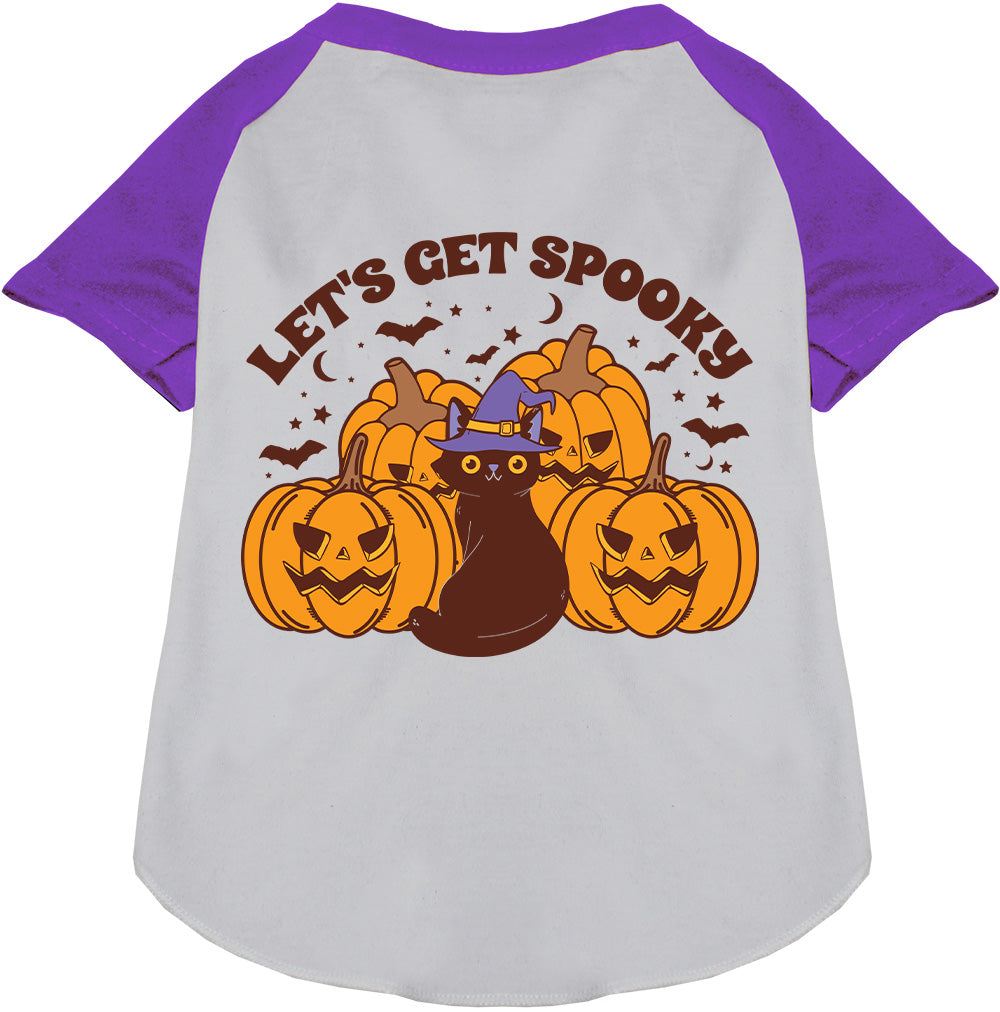 Purple spooky pet raglan shirt with pumpkins and cat