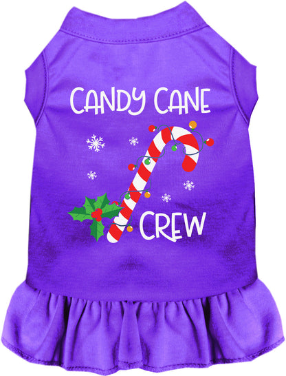 Purple Candy Cane Crew pet dress with festive design
