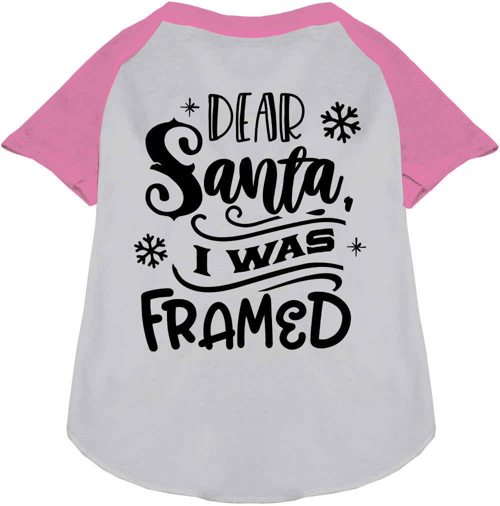 Light pink sleeve pet raglan shirt with 'Dear Santa, I was Framed' text