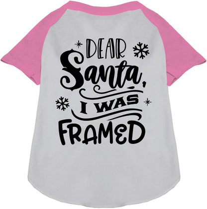 Light pink sleeve pet raglan shirt with 'Dear Santa, I was Framed' text