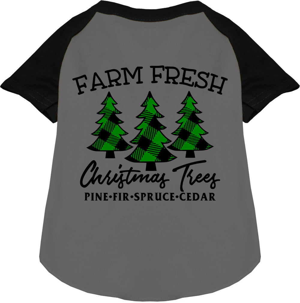 Farm Fresh Christmas Trees black pet raglan shirt