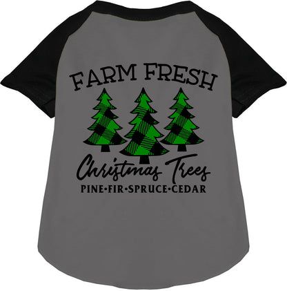 Farm Fresh Christmas Trees black pet raglan shirt