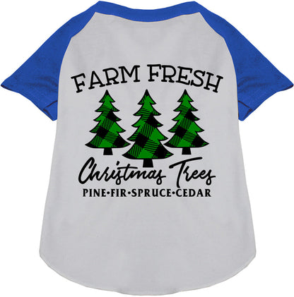 Farm Fresh Christmas Trees blue pet raglan shirt