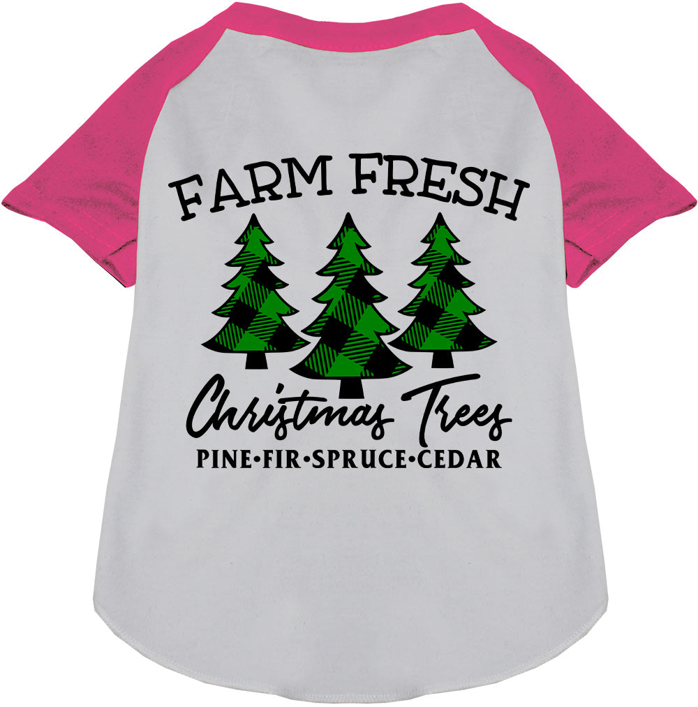 Farm Fresh Christmas Trees pink pet raglan shirt