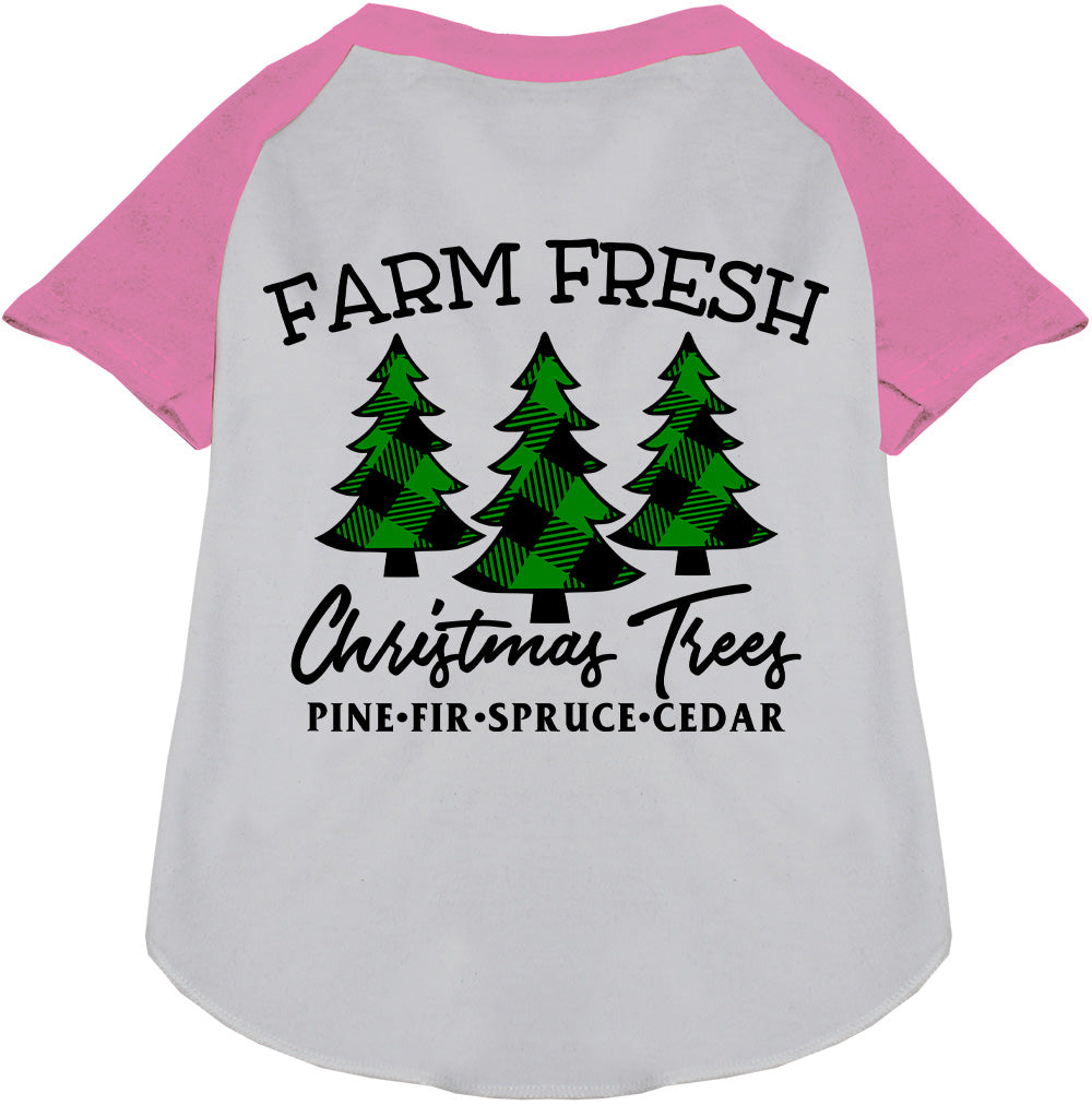 Farm Fresh Christmas Trees light pink pet raglan shirt