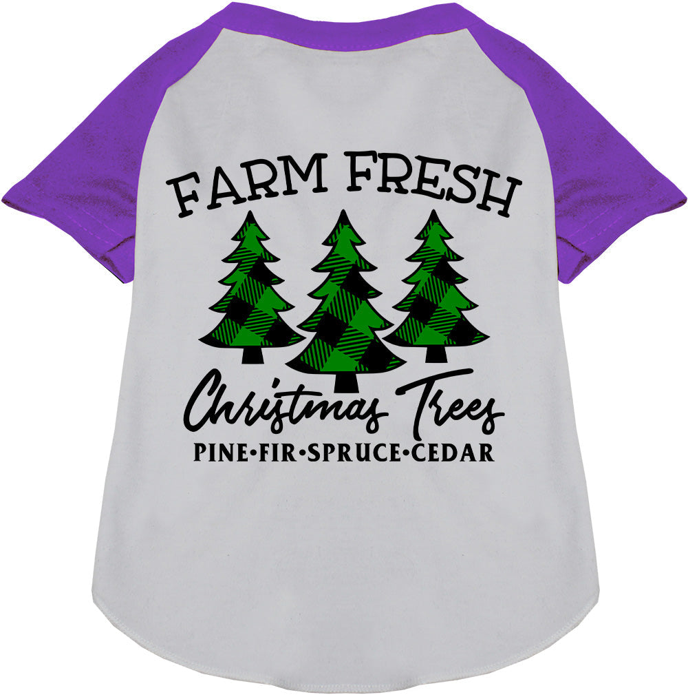 Farm Fresh Christmas Trees purple pet raglan shirt