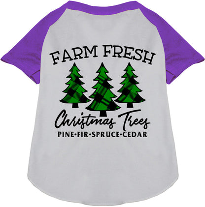 Farm Fresh Christmas Trees purple pet raglan shirt