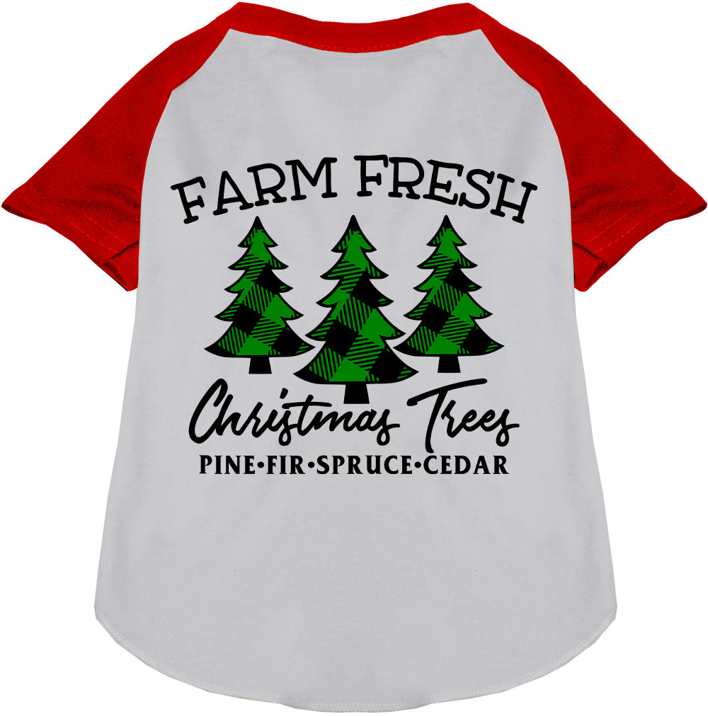 Farm Fresh Christmas Trees red pet raglan shirt