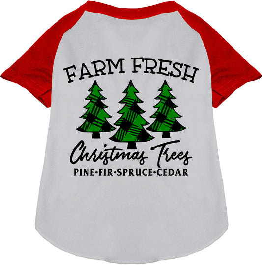 Farm Fresh Christmas Trees red pet raglan shirt