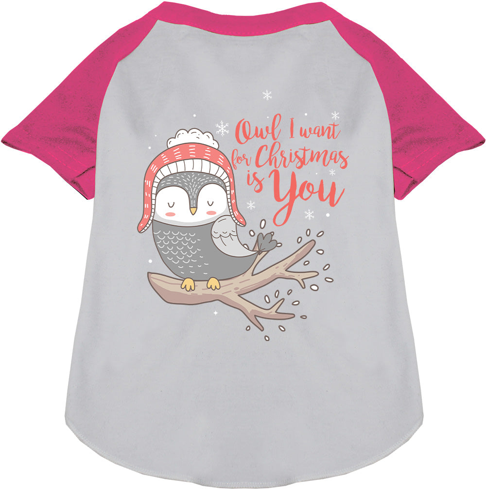 Pink pet raglan shirt with owl Christmas design