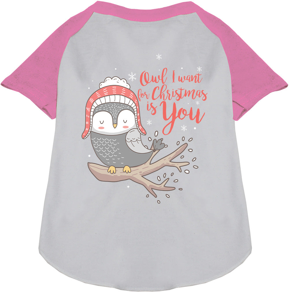 Light pink pet raglan shirt with owl Christmas design
