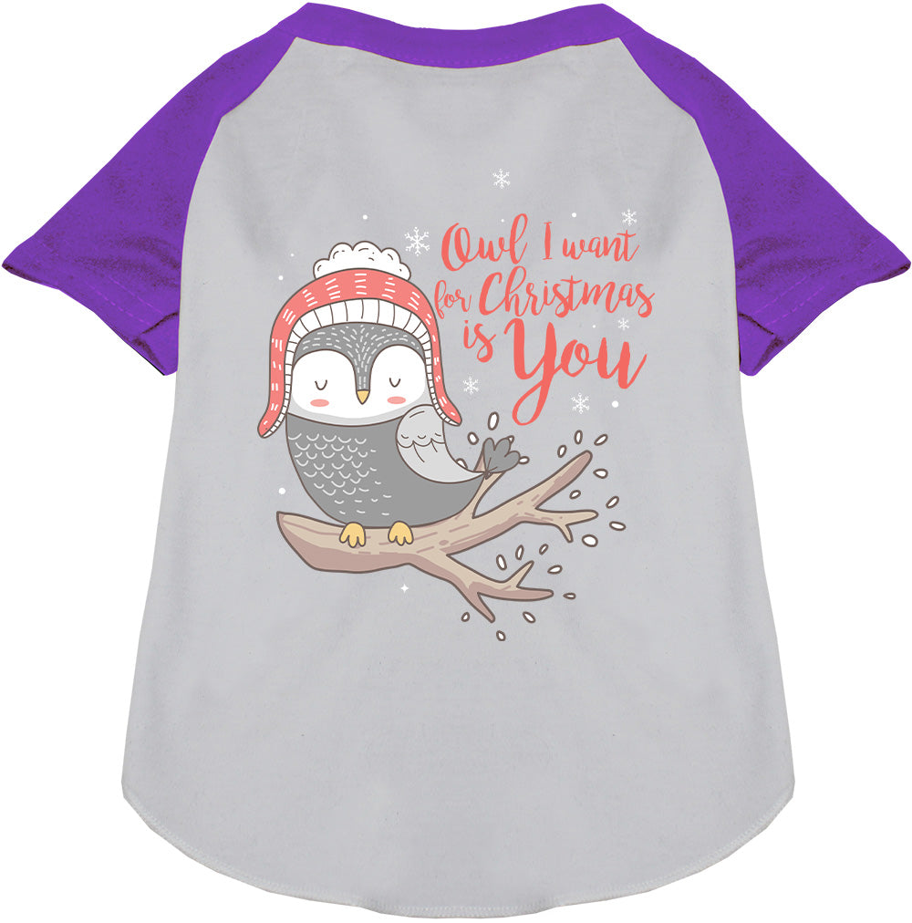 Purple pet raglan shirt with owl Christmas design