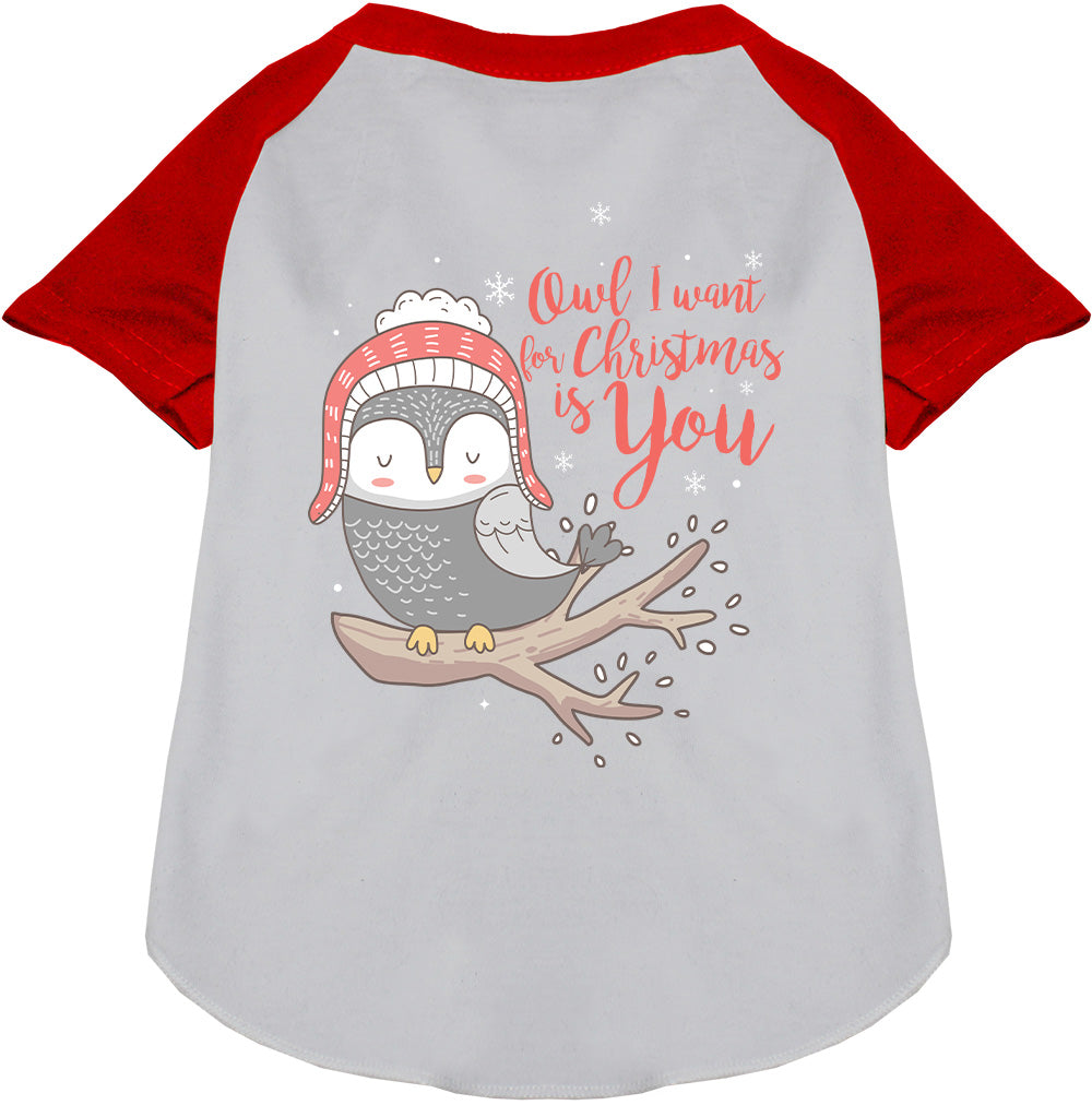 Red pet raglan shirt with owl Christmas design