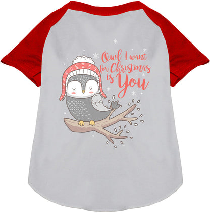 Red pet raglan shirt with owl Christmas design