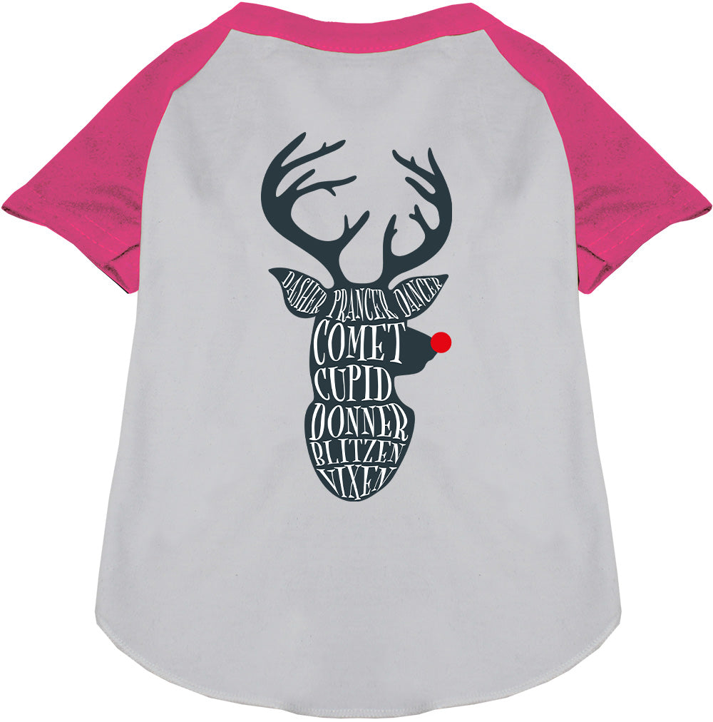 Pink-sleeved Santa's Deer Pet Raglan Shirt