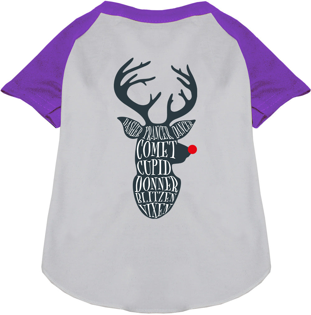 Purple-sleeved Santa's Deer Pet Raglan Shirt