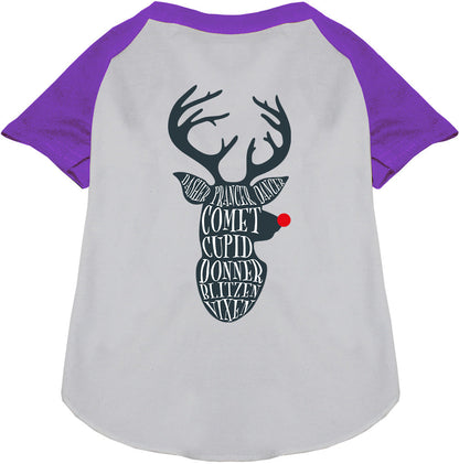 Purple-sleeved Santa's Deer Pet Raglan Shirt