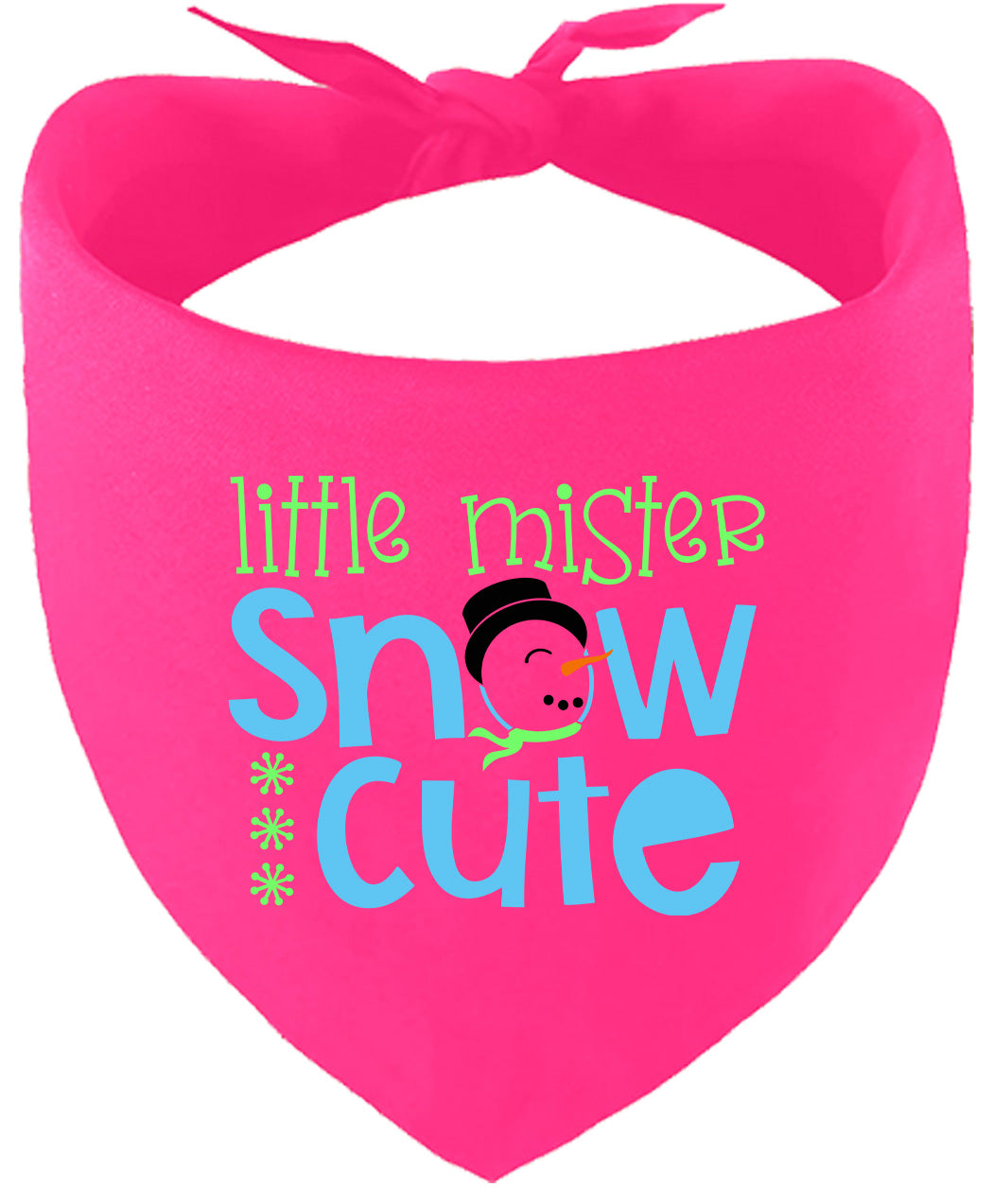 Little Mister Snow Cute Pet Bandana
