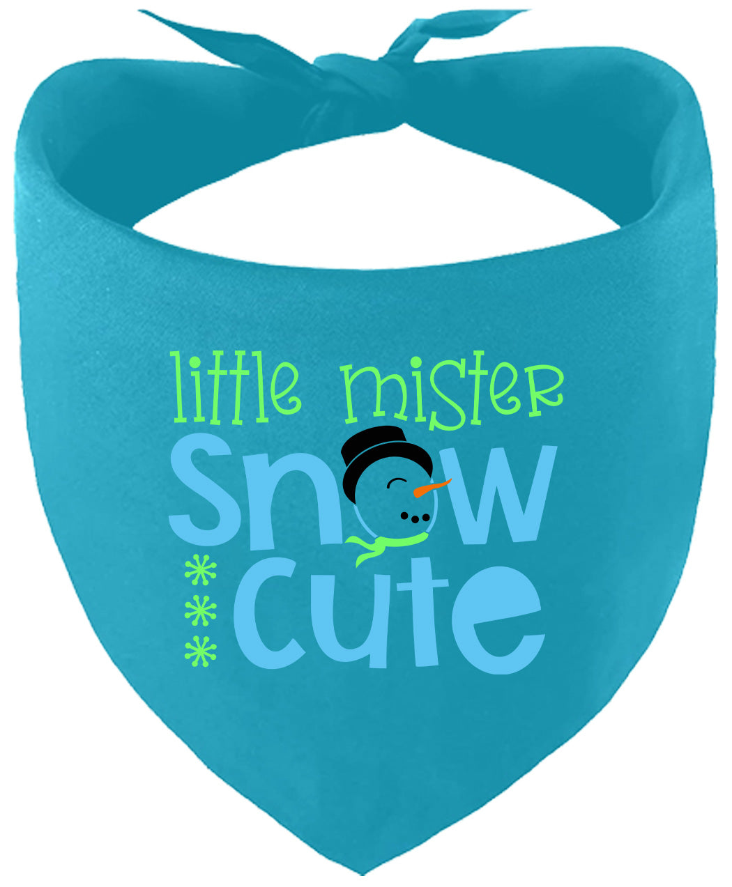 Little Mister Snow Cute Pet Bandana