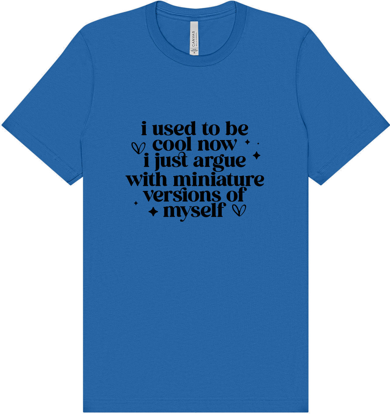 I Used to Be Cool... Adult Bella Canvas Shirt